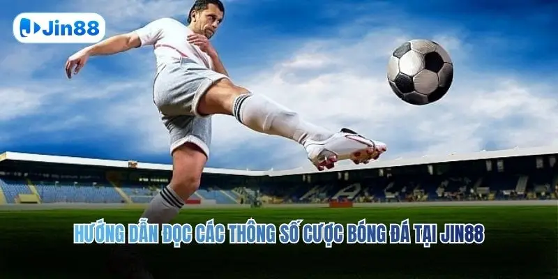Hướng dẫn đọc các thông số cược bóng đá tại JIN88